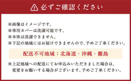 【ふるなびWEEK対象】【7営業日発送】整体院の先生がおすすめする 枕 頸椎安定 まくら マクラ 寝具 枕カバー 横向き 寝具 睡眠 快眠 安眠 快適 熟睡