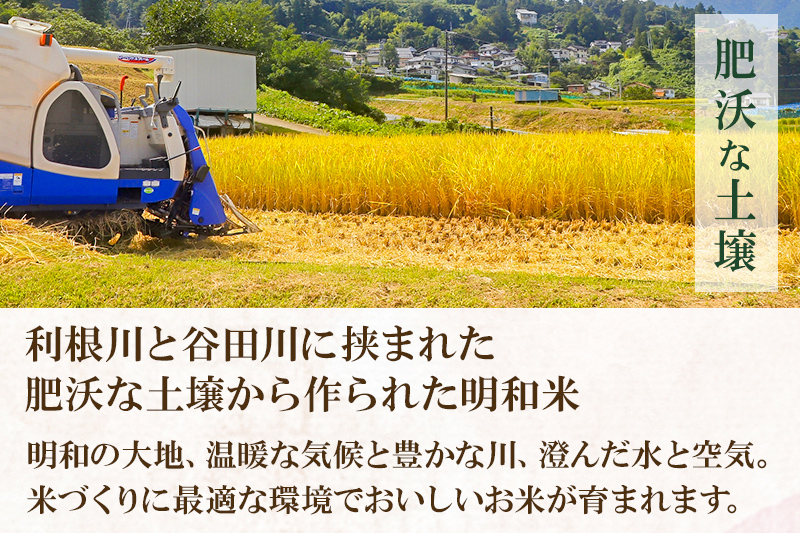 【白米】群馬県明和町産 令和7年産 にじのきらめき 10kg（5kg×2袋） [米 白米 令和7年産 数量限定 群馬県 にじのきらめき 5kg2袋 10kg 5キロ 10キロ お米 精米 ごはん ご飯
