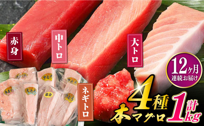 
            【全12回定期便】対馬産 本マグロ 4種 計1kg（赤身/中トロ/大トロ/ネギトロ）《対馬市》 【対海】[WAH008] マグロ まぐろ 鮪 本鮪 本マグロ 養殖 トロ 中トロ 中とろ 大トロ 大とろ 赤身 ねぎとろ ネギトロ たたき 刺身 冷凍 海鮮 魚 柵 お祝い 贈答 定期便 毎月届く
          