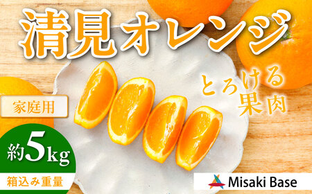 【先行受付】【家庭用】清見オレンジ 約5kg ※離島への配送不可 （2027年3月下旬より順次発送）IKTAB007 