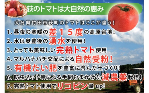 トマトジュース 12本セット 500ml×12本 完熟 トマト100% 大分県 竹田市
