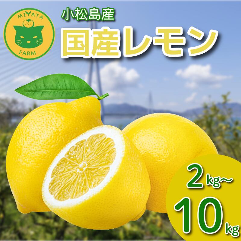 【ふるさと納税】 レモン 2kg～10kg 秀品 2025年10月順次発送 国産 レモン 檸檬 れもん ワックス不使用 防腐剤不使用 柑橘 果汁 フルーツ 果実 徳島 小松島市