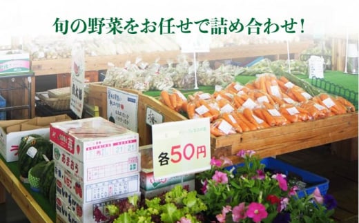 【 全12回 定期便 】 福岡県 糸島産 旬 の 野菜 盛り合わせ セット 《糸島》【株式会社フロンティア・アドバンス】[AWC009]