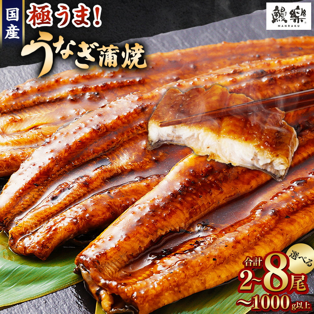 【ふるさと納税】【訳あり】国産うなぎ！＜国産 うなぎ 鰻 蒲焼き 2尾・3尾・4尾 ～ 5尾・6尾 ～ 8尾 320g 〜 1kg ふるさと納税 うなぎ 高級 長蒲焼 鰻 訳あり ウナギ unagi 丑の日 宮崎 高鍋町 人気 ランキング 送料無料【TVで話題沸騰！】