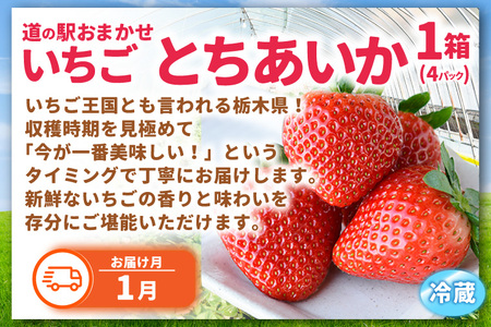 栃木県産 フルーツ 定期便 年6回 道の駅ましこ AA043