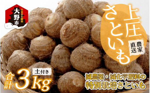 【先行予約】【10月発送分】上庄さといも 3kg 減農薬・減化学肥料の特別栽培里芋