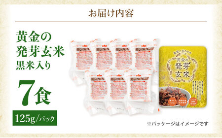 先行予約 パックご飯 玄米 125g×7食 [CGV0001] 米