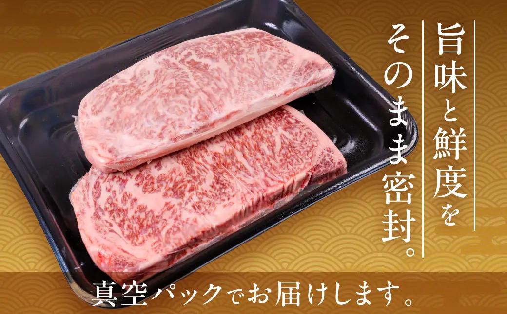 飛騨牛 サーロインステーキ 500g(250g×2)| ステーキ