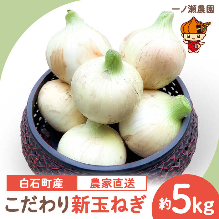【ふるさと納税】【農家直送！】こだわり 新玉ねぎ （サイズ混合） 約5kg【一ノ瀬農園】新玉葱 たまねぎ タマネギ 早生 野菜 佐賀県 白石町 白石 [IBQ003]