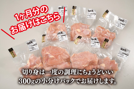 【3カ月定期便】ありたどり 胸肉 3.1kg×3回 計9.3kg【むね肉 低脂肪 ダイエット 筋トレ 人気 たんぱく質 ブロック 低温調理 サラダチキン 切り身 小分け 佐賀 ブランド鶏 安心 小包装