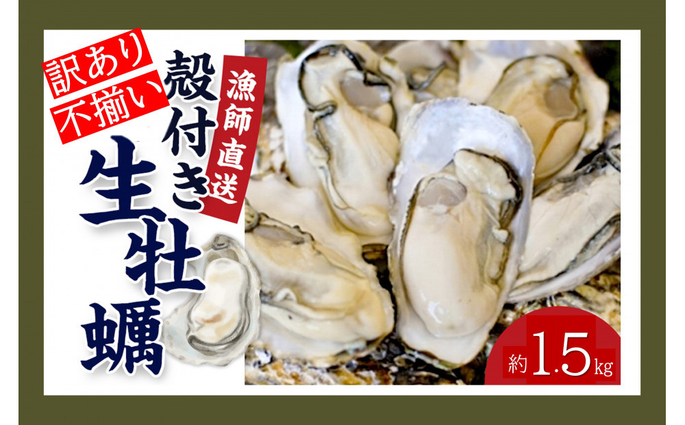 ★先行予約★《訳あり・不揃い》殻付き生牡蠣　1.5kg 【漁師直送!】冷蔵配送