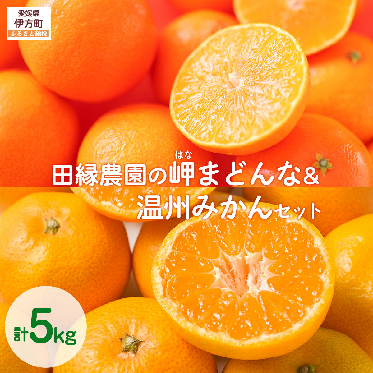 【ふるさと納税】【先行予約】【数量限定】田縁農園の岬（はな）まどんな＆温州みかんセット （2025年11月25日より順次発送） 【ふるさと納税 人気 おすすめ ランキング みかん 蜜柑 温州みかん まどんな はなまどんな フルーツ 果物 愛媛県 伊方町 送料無料】 IKTA005