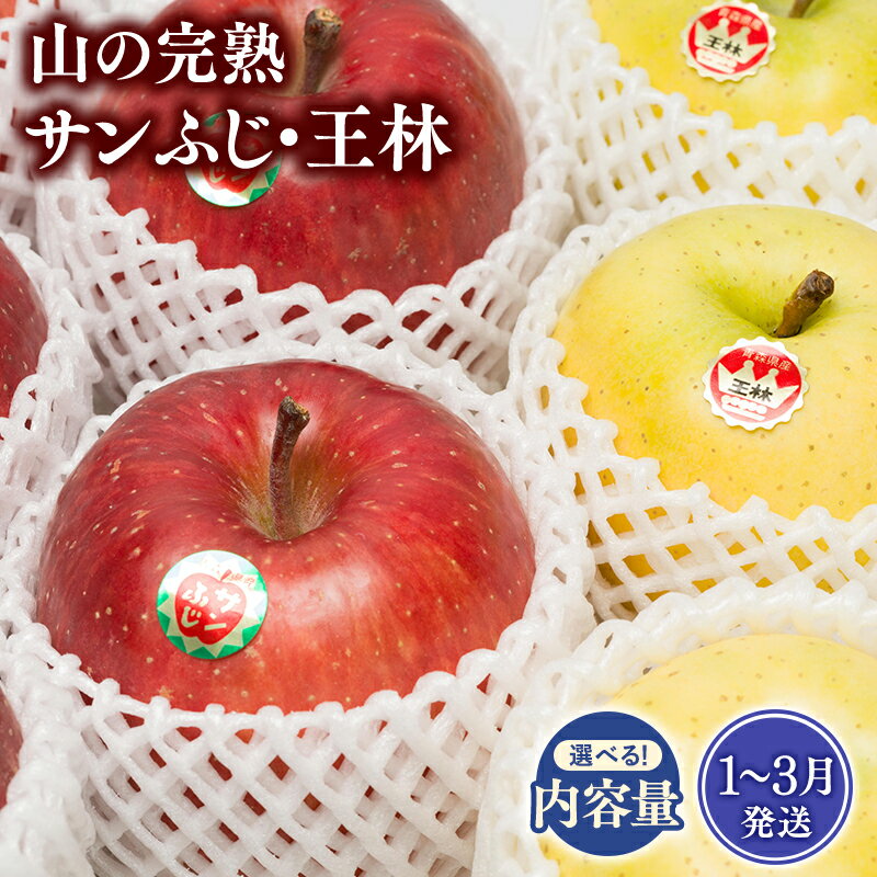 【ふるさと納税】≪年明け発送≫青森県産 山の完熟サンふじ・王林 約3kg 約5kg【青森県 平川市 吹田りんご園】王林 おうりん サンふじ ふじ りんご リンゴ アップル 果物 くだもの フルーツ 平川市産 完熟りんご レビューキャンペーン