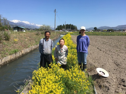 【令和8年産先行予約】『どじょうのいる田んぼのお米』コシヒカリ 白米 5kg | 馬場農園