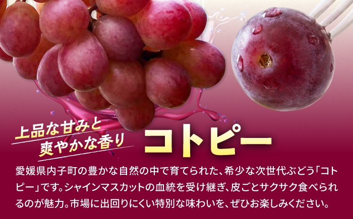 コトピー 赤系ぶどう シャインマスカット 甲斐乙女 フルーツ くだもの 果物 愛媛県 内子町 産地直送 完熟 高糖度