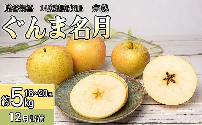 
                  12月 贈答規格 完熟ぐんま名月 約5kg（18～20玉）14度糖度保証【青森りんご・ゆうきアップル・12月】 果物 フルーツ 黄色りんご 高糖度 糖度14度以上
                