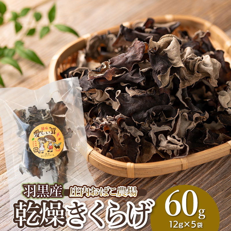 【ふるさと納税】羽黒産　乾燥キクラゲ　60g（12g×5）　K-710　庄内おばこ農場　木耳 きくらげ