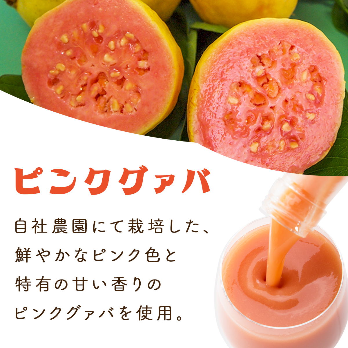 KU107 【定期便・全3回】とろーり果実感！グァバ・マンゴードリンク２本セット(各720ml×2本)×3回 【宮崎果汁】