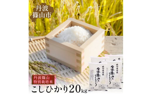 【令和7年産 新米予約】丹波篠山産 特Aランク特別栽培米 こしひかり 20kg 西の魚沼と呼ばれる 丹波篠山 コシヒカリ！白米【100％単一原料米】産地直送 贈答 おいしい お米 精米 コシヒカリ 米20 キロ ブランド おこめ 健康 お試し ギフト 内祝い 贈り物