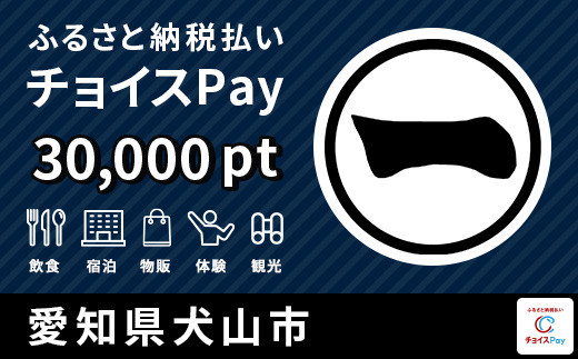 
犬山市チョイスPay 30,000pt（1pt＝1円）【会員限定のお礼の品】
