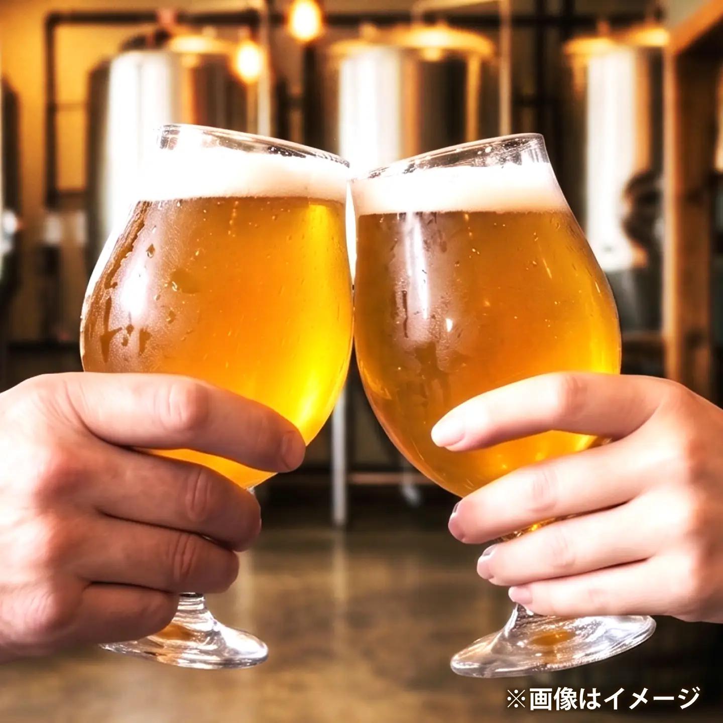 クラフトビール ハッピーフィドル 330mL×3本 HappyFiddle ビール お酒 クラフトビール 地ビール 瓶ビール /DwarfBrewery[UFD002]