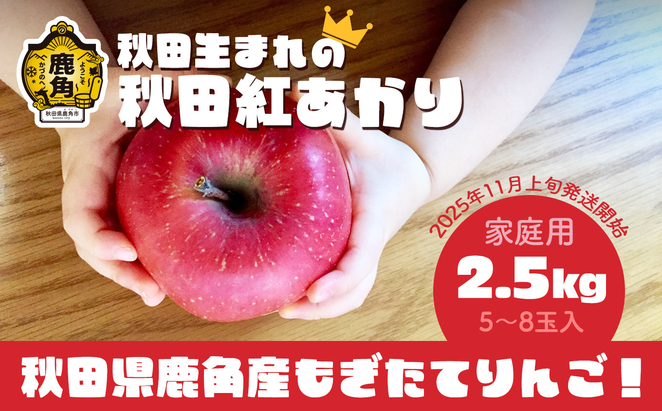 
            《 先行予約 》訳あり 秋田県鹿角産りんご 家庭用 「 秋田紅あかり 」 約 2.5kg（5～8玉入）●2025年11月上旬発送開始 【ケーケー農園】鹿角りんご かづのりんご 食感 果汁 さっぱり リンゴ 完熟 旬 県産りんご 林檎 贈り物 お見舞い グルメ ギフト 故郷 秋田 あきた 鹿角市 鹿角 送料無料 
          
