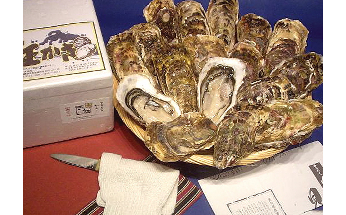 殻付き牡蠣10個＋オイスターナイフ No.175