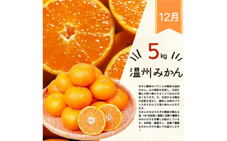 定期便 【全3回】フルーツ定期便  桃 柿 みかん 【tkb383】