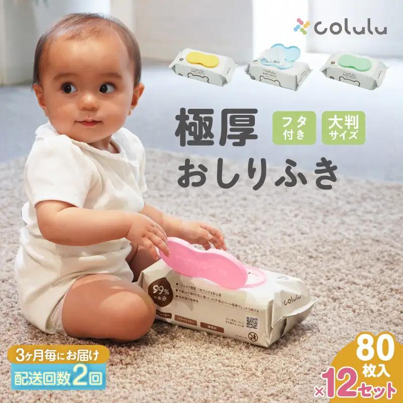 【２回定期便】おしり拭き 80枚入り 12個セット（3467）