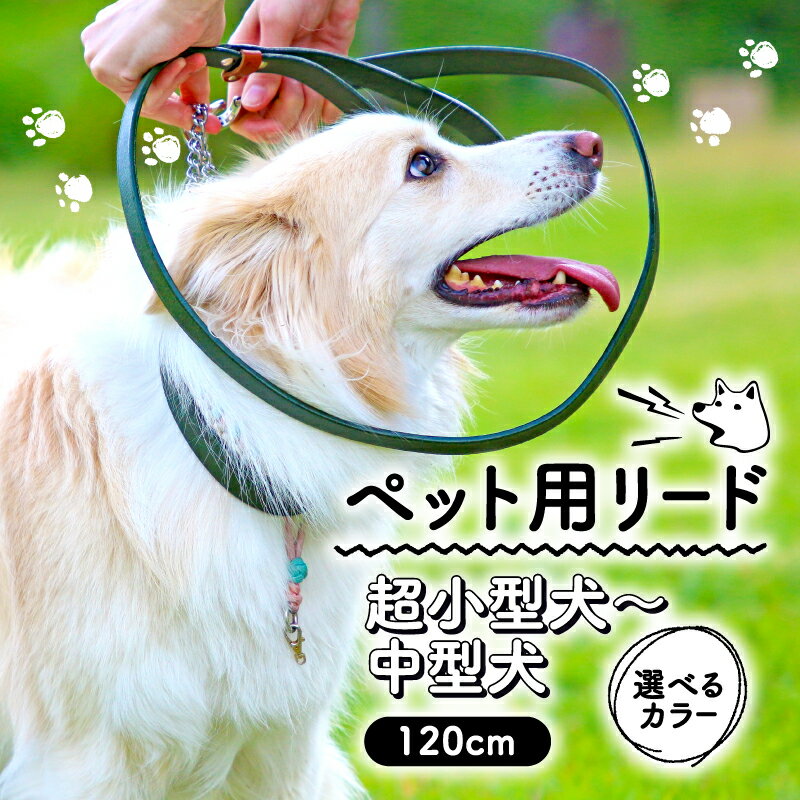 【ふるさと納税】 ペット用 リード 120cm 選べるカラー サイズ 超小型犬 小型犬 中型犬 本革 ペット 犬 愛犬 ワンちゃん 超小型犬 首輪 リード 本革 レザー 牛革 牛 散歩 さんぽ ウォーキング 健康 おしゃれ 消耗品 大阪府 松原市