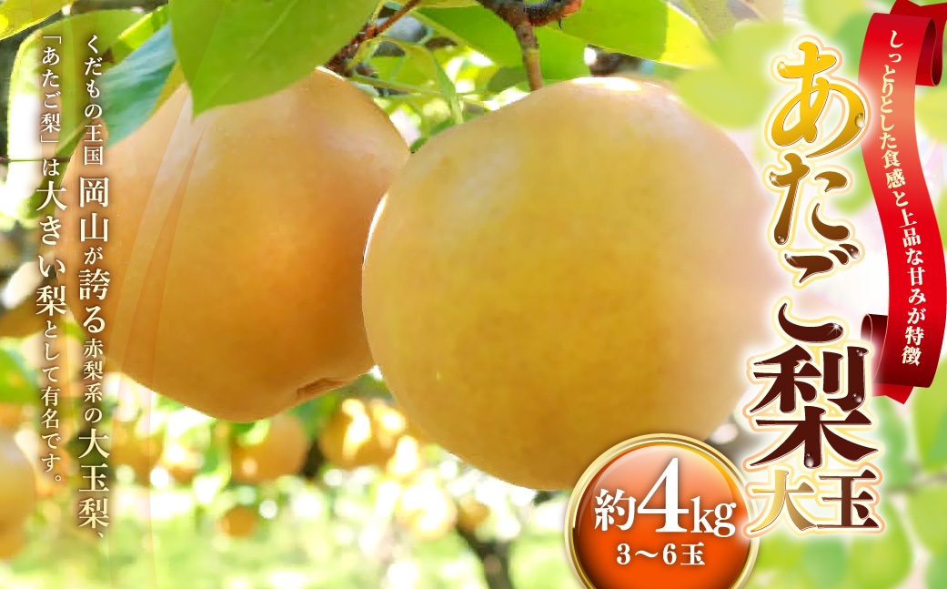 
                  あたご梨 約4kg （ 3～6玉 ） 梨 贈答 くだもの 果物 果実 フルーツ なし ナシ あたご 贈答品 大玉梨 完熟 【 2026年11月下旬～12月下旬発送予定 】
                