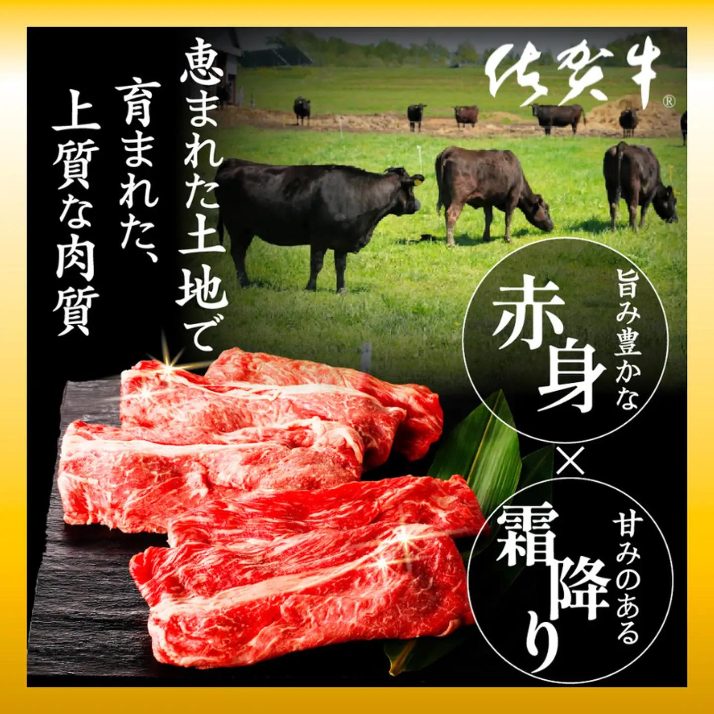 佐賀牛 肩ローススライス 600g：B205-014
