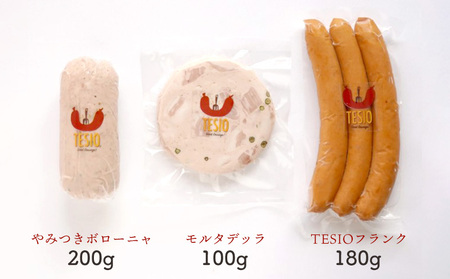 自家製ハム・ソーセージ専門店TESIO「手始めTESIO」セット（合計480g） 牛肉 豚肉 専門店 自家製 ドイツ製法 ソーセージ ウィンナー ウインナー ボローニャ モルタデッラ ハム お試し グ