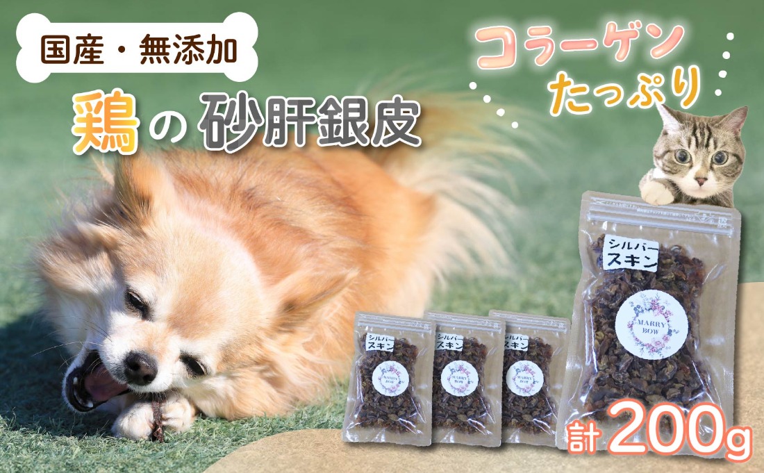 わんちゃん 用 コラーゲン たっぷり ジャーキー セット 4袋 200g 無添加 国産 手作り 低脂肪 愛犬用 ペット おやつ 犬用 愛犬 ワンちゃん 犬 鶏肉 砂肝 シルバースキン 銀皮 ネコ 猫 ねこ 動物 ペットフード 静岡 藤枝