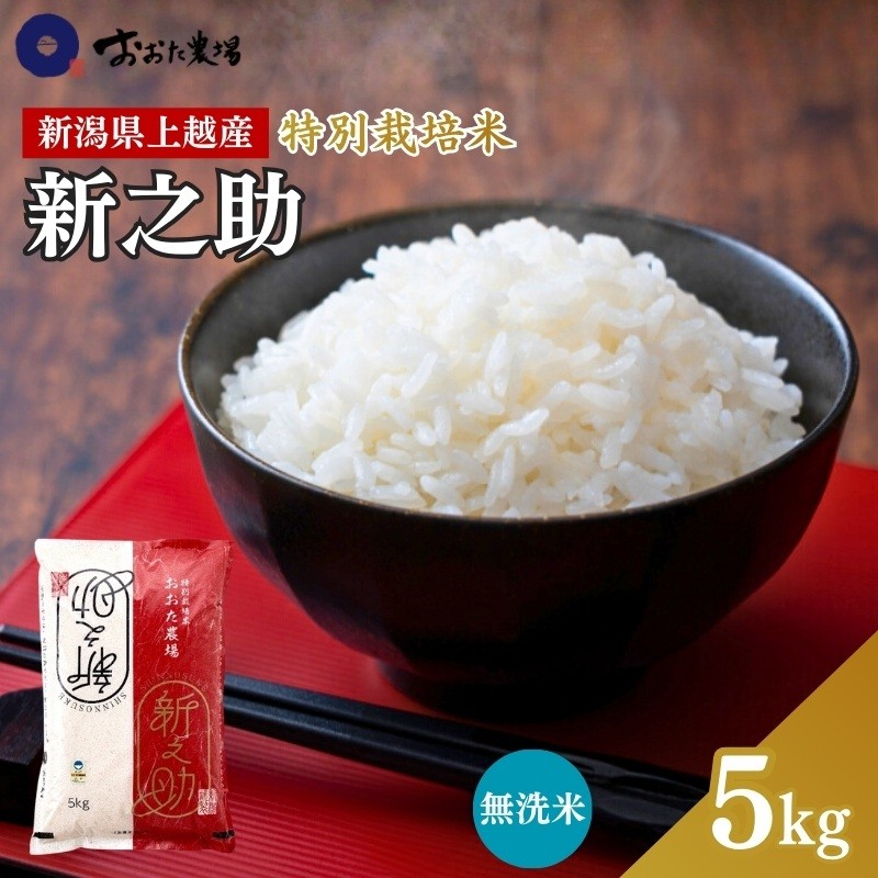 
                  令和7年産 新潟県上越産 特別栽培米 新之助 【無洗米】 5kg 5キロ しんのすけ おおた農場 上越市
                