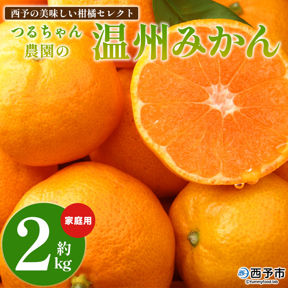 【予約受付】西予の美味しい柑橘セレクト（ご家庭用） /温州みかん 約2kg【11月頃から2027年1月中旬頃までに順次出荷予定】