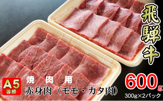 
[№5568-0323]牛肉 飛騨牛 焼き肉 セット 赤身 モモ 又は カタ 600g 黒毛和牛 A5 美味しい お肉 牛 肉 和牛 焼肉 BBQ バーベキュー 【岐阜県揖斐川町】
