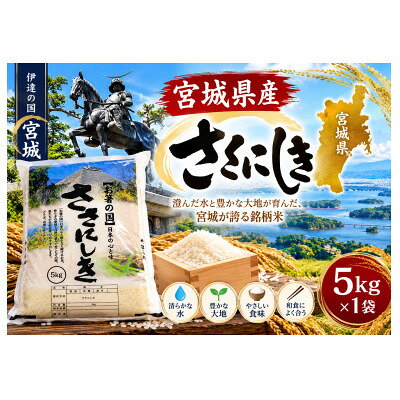 【ふるさと納税】令和7年【宮城県産】ささにしき　精米　5kg×1袋【2002554】