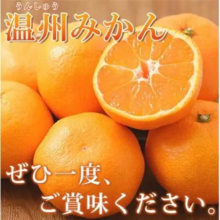 【2026年11月下旬より発送】秀品　有田みかん 2kg　2S ～ Lサイズのいずれか【1562802】
