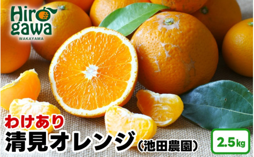 
                  清見 オレンジ 家庭用 2.5kg+250g（痛み補償分） 光センサー / 訳あり 清見オレンジ 清見タンゴール きよみ 清美 甘い 和歌山 柑橘 ※2月上旬～6月上旬に順次発送 ※北海道・沖縄・離島への配送不可 【ikd011-c-2d5B】
                