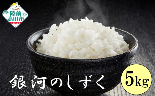 【2ヶ月定期便】 令和7年産 白米 5kg×2ヶ月お届け 品種：銀河のしずく 【 米 お米 ライス 岩手県 オリジナル ブランド米 お弁当 おにぎり ギフト 川の駅産地直売組合よこた 】 RT3092