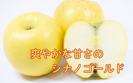 【2026年先行予約】サンふじ+シナノゴールド 約3kg| りんご りんご