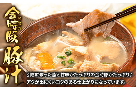 阿波の金時豚 豚汁 5個セット アグリガーデン《30日以内出荷予定(土日祝除く)》