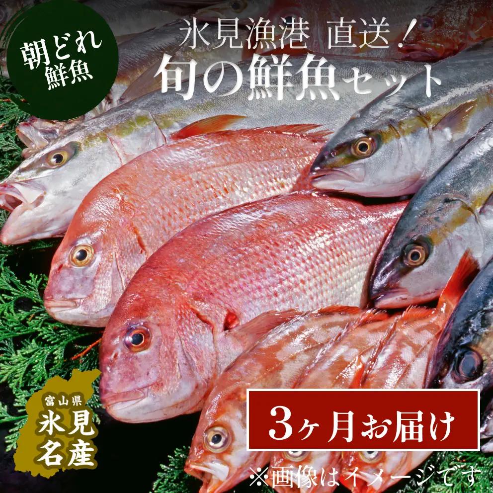 天然のいけす 富山湾 氷見漁港直送！ 旬の鮮魚セット 定期便3ヶ月連続お届け