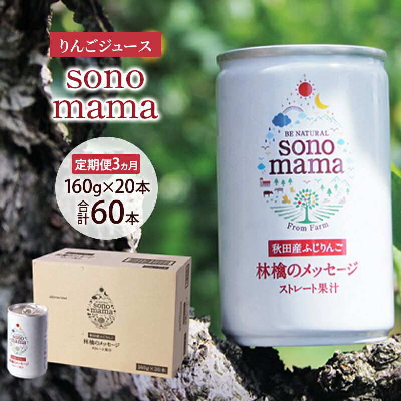 【ふるさと納税】《 定期便 3ヵ月 》りんごジュース「sonomama」（160g×20本）りんご リンゴ ジュース リンゴジュース 飲料