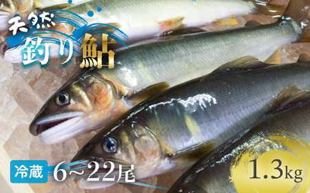 【生鮎解禁】四万十川上流の天然釣り鮎 1.3kg（冷蔵6～22尾）着日指定不可 あゆ アユ 塩焼き 鮎 Esj-33k 