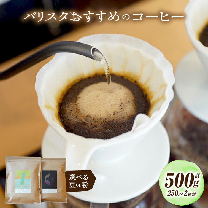 【ふるさと納税】バリスタ おすすめ コーヒー 250g×2種類 計500g 選べる 豆 粉 コーヒーセット バリスタセレクト 浅煎り フルーティ 深煎り コク 恋史郎コーヒー 朝 モーニング 朝食 落ち着く 味わい 宮崎県 宮崎市 送料無料