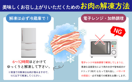 ハンバーグ【訳あり】あぐー豚肉ハンバーグ 750g