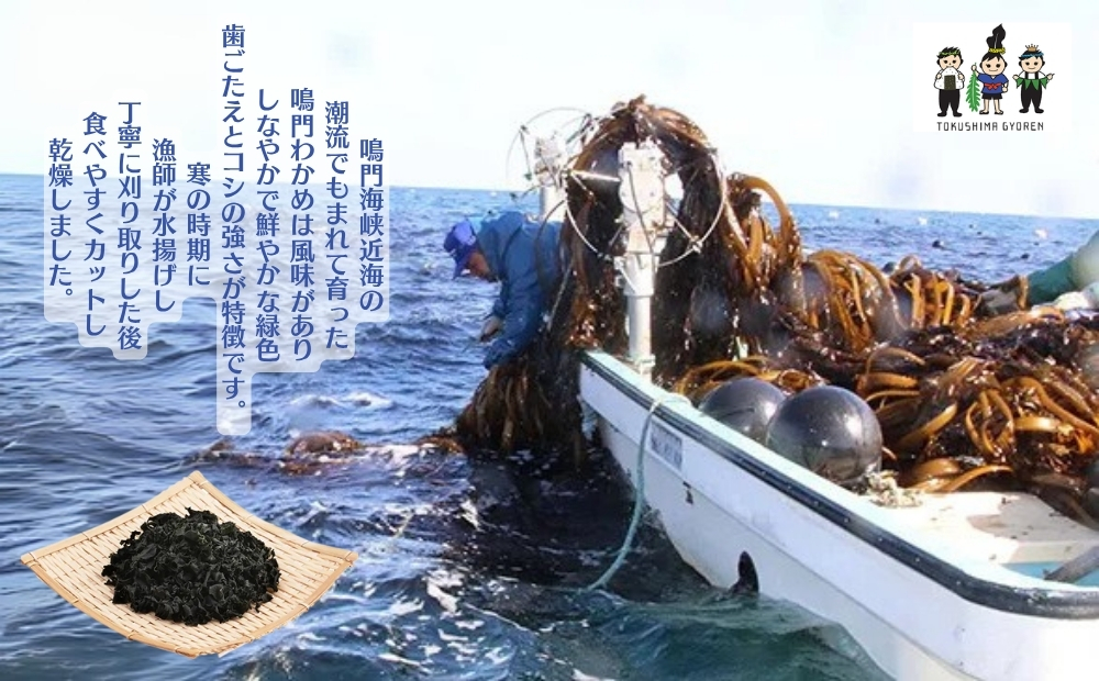 鳴門産カットわかめ　15ｇ×8袋  乾燥わかめ 鳴門産わかめ お手頃乾燥わかめ 便利なカット済み乾燥わかめ カット わかめ 乾燥 わかめ 小分けワカメ