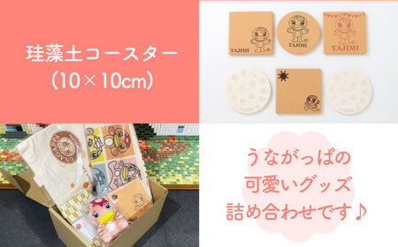 うながっぱグッズ 5点セット 14 多治見市 / 多治見市観光協会 多治見 たじみ うながっぱ[TAQ002]